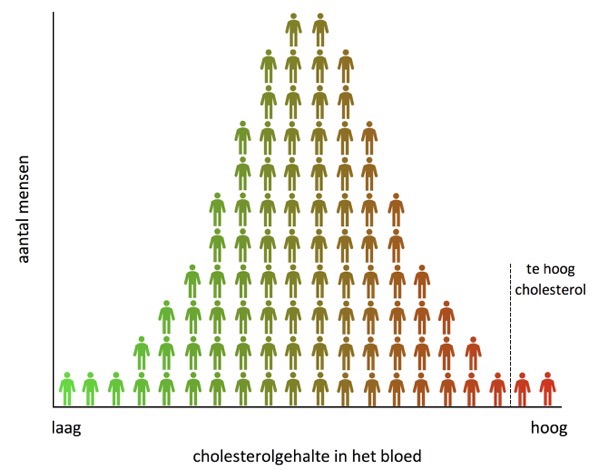 Cholesterolverdeling