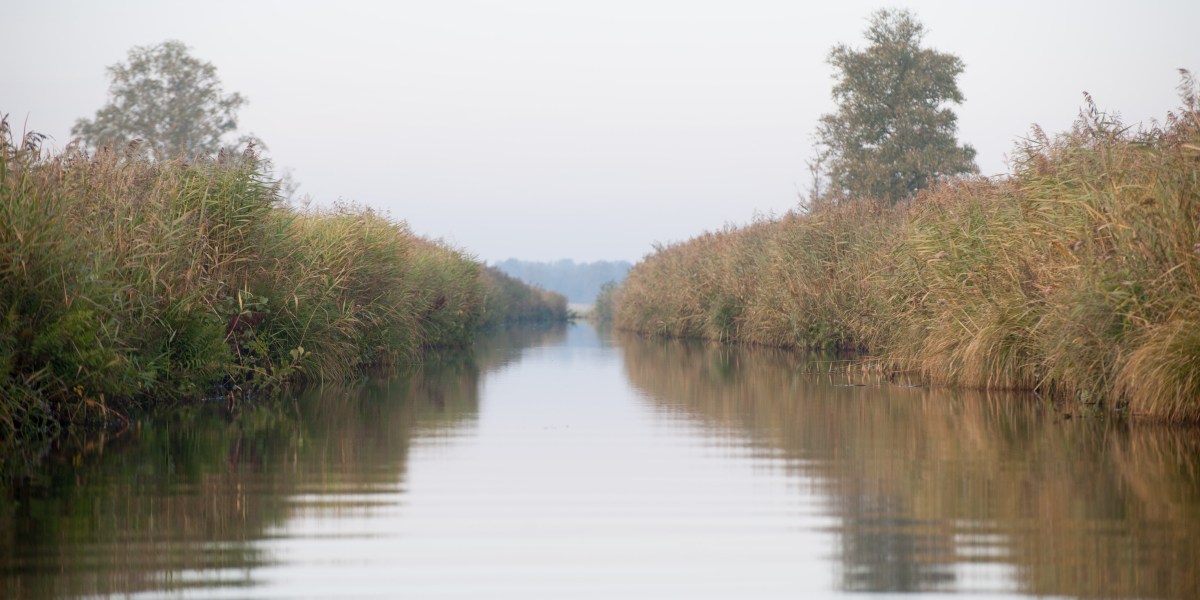 Scheren met hart en&nbsp;ziel.